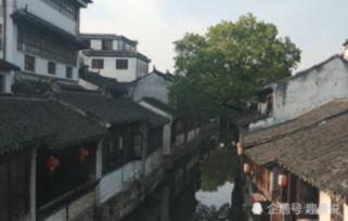 懒惰男孩拯救